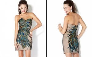 Party Dress