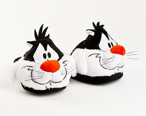 Slipper 